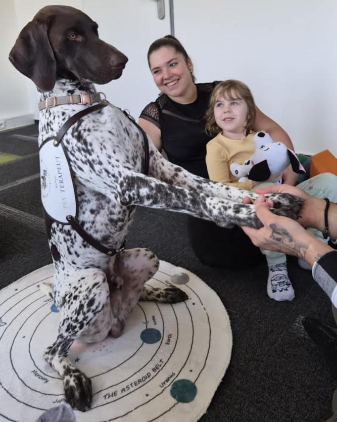 Košík Opatov - speciální